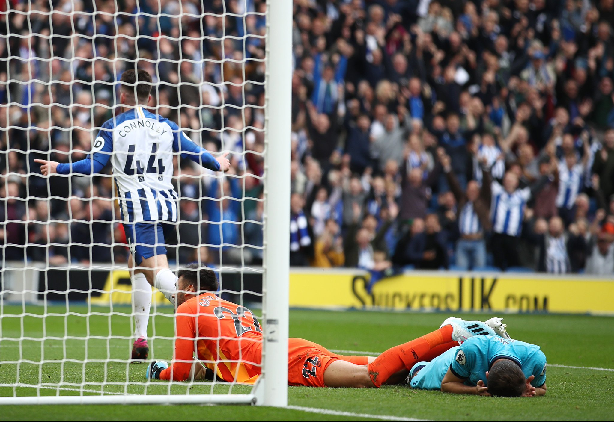 受欢迎的大 受欢迎的大